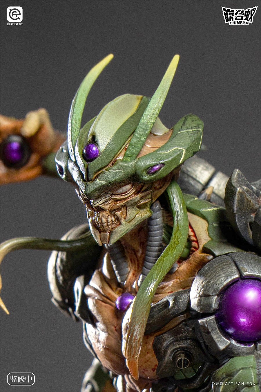 Destiny of the Shadowless Chimera Ant 1/6