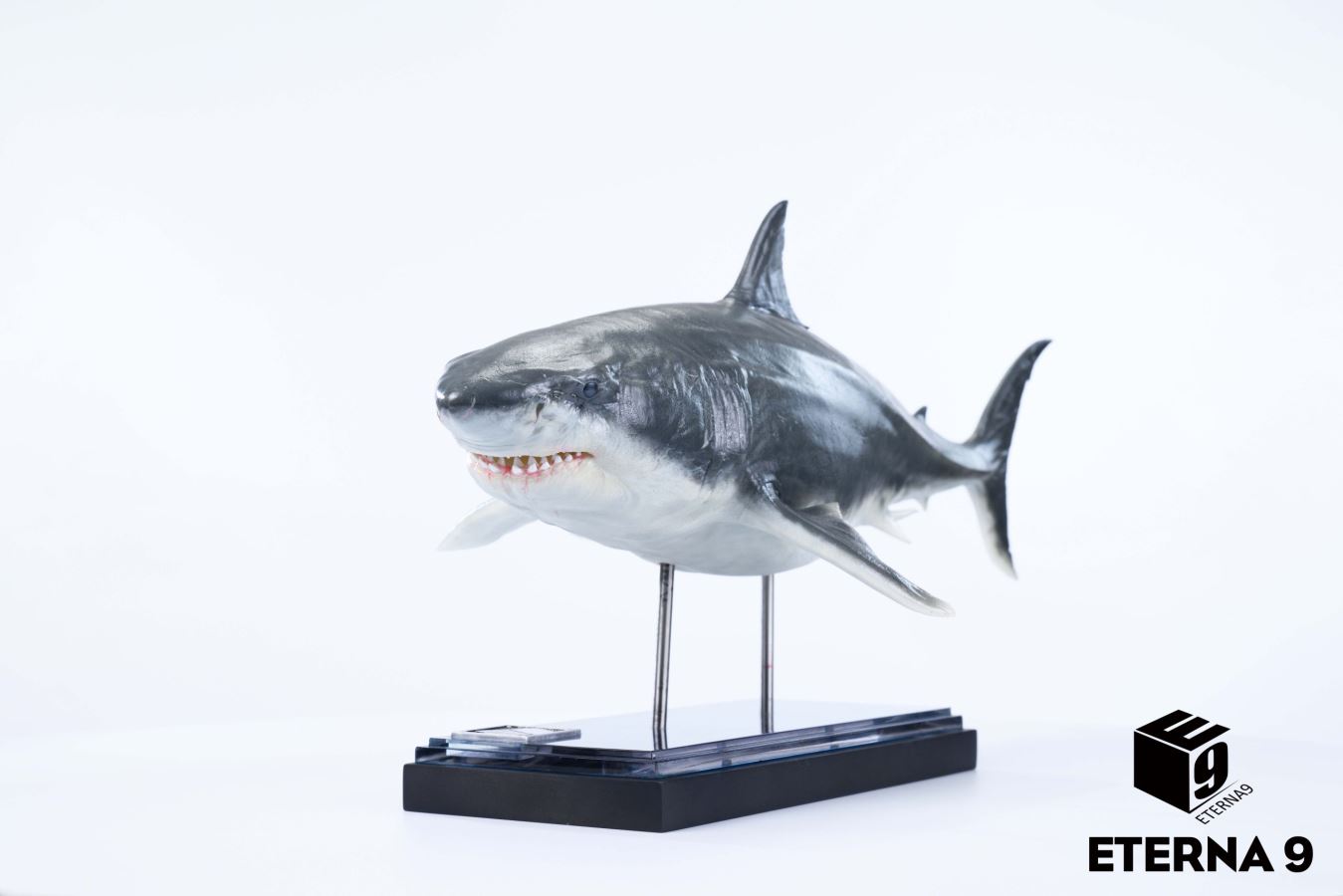 Original Ocean Life Series Shark Model