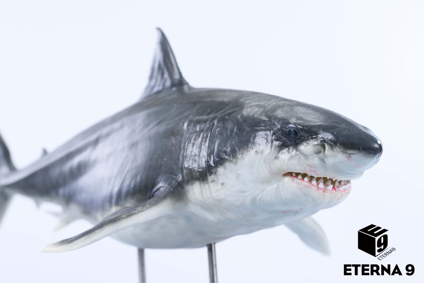 Original Ocean Life Series Shark Model