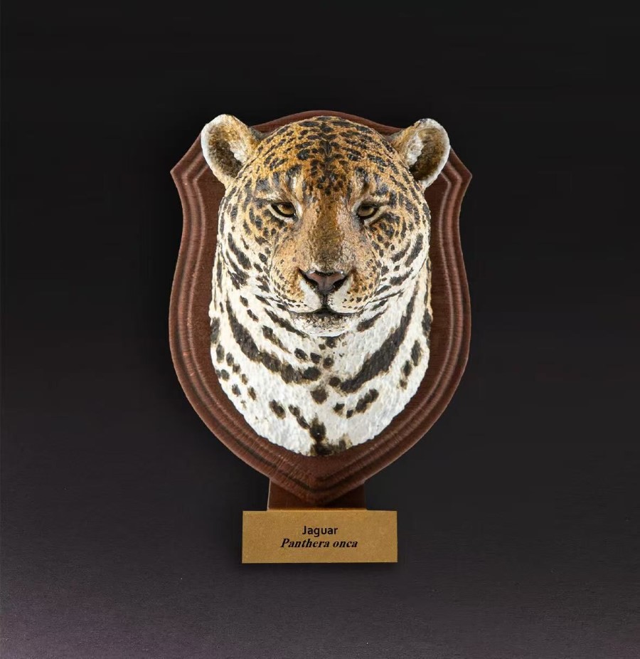 World Animal Encyclopedia Vol. 1