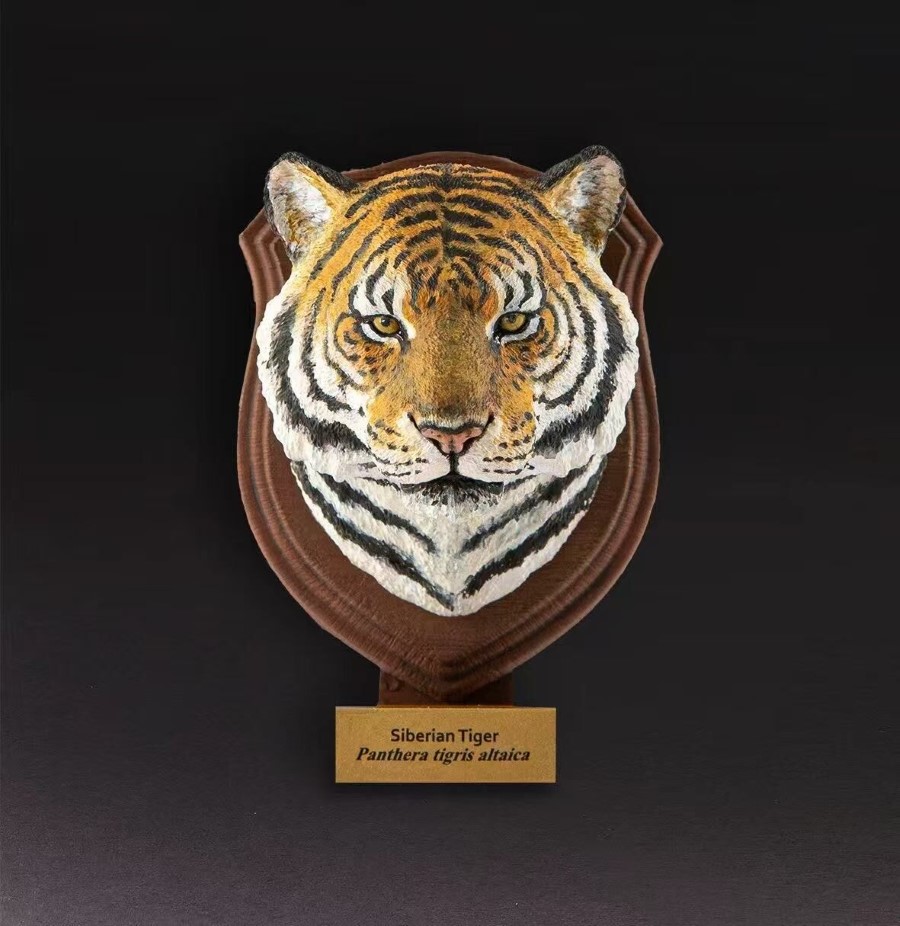 World Animal Encyclopedia Vol. 1