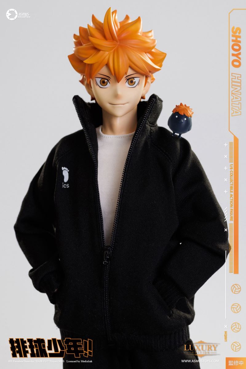 Hinata Shoyo - Haikyu!! 1/6