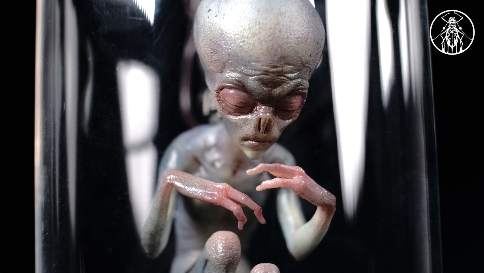 Roswell Alien 2.0 EBE-1 Life Form
