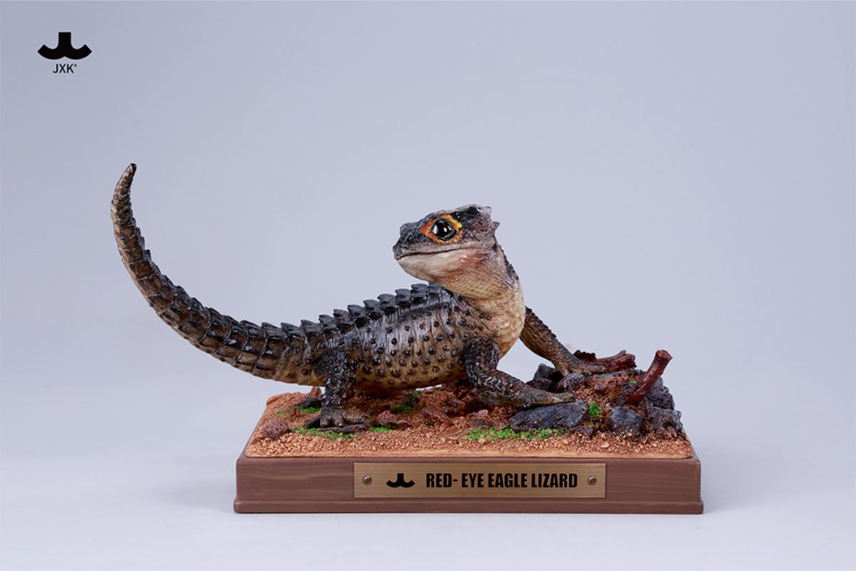 Tribolonotus gracilis [JXK305]