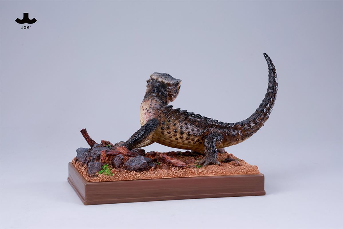 Tribolonotus gracilis [JXK305]