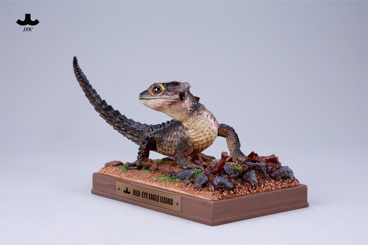 Tribolonotus gracilis [JXK305]