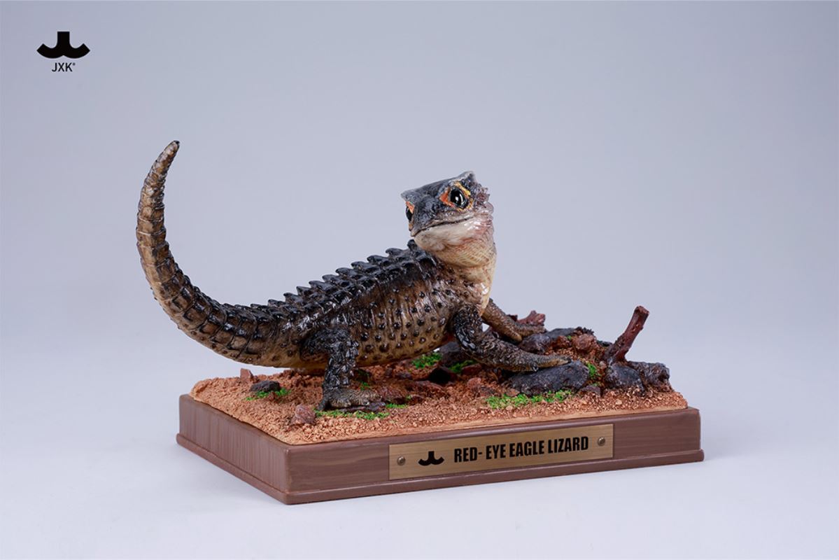 Tribolonotus gracilis [JXK305]