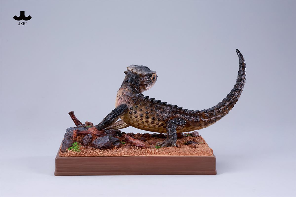 Tribolonotus gracilis [JXK305]