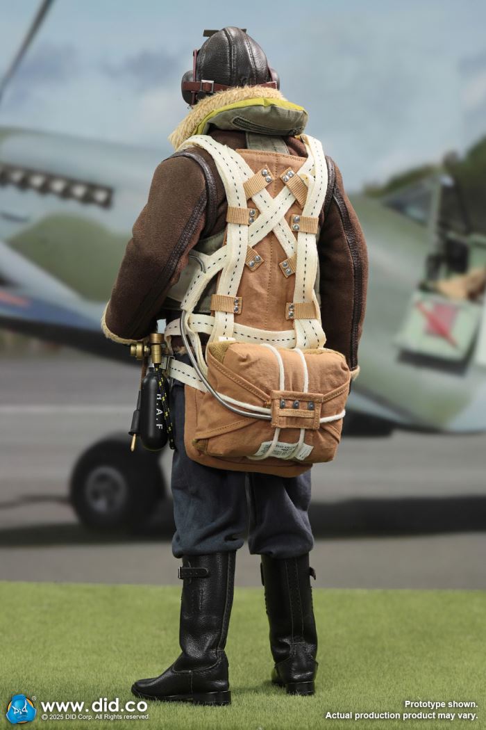 WWII British pilot Squadron Leader Tom 1/6