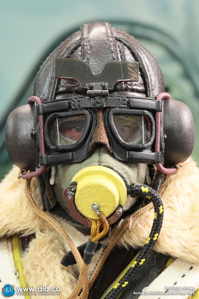 WWII British pilot Squadron Leader Tom 1/6