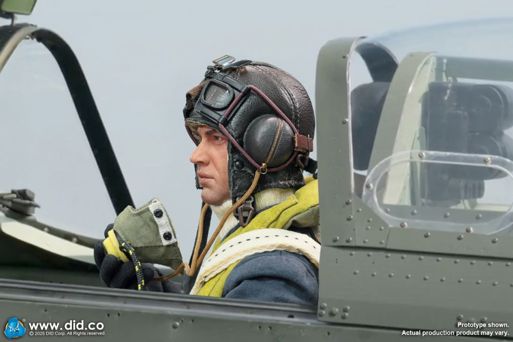 WWII British pilot Squadron Leader Tom 1/6