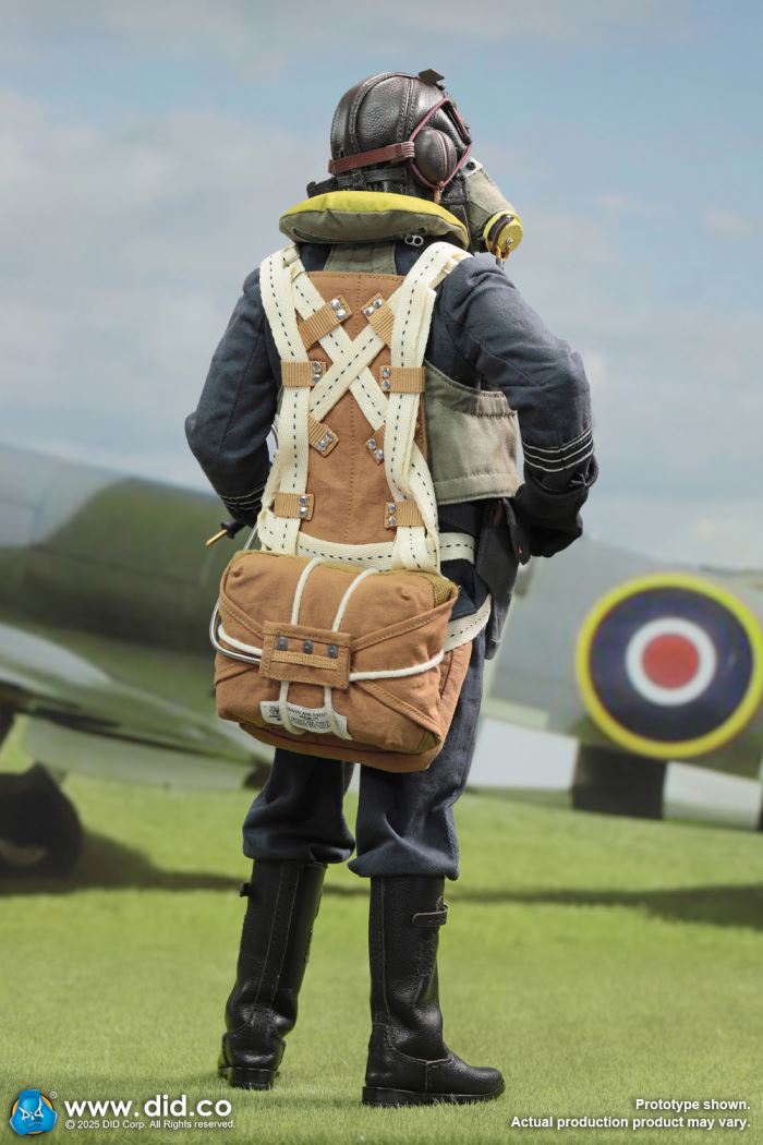 WWII British pilot Squadron Leader Tom 1/6