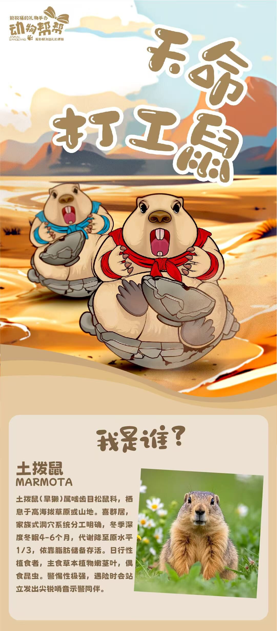 Destiny Working Groundhog