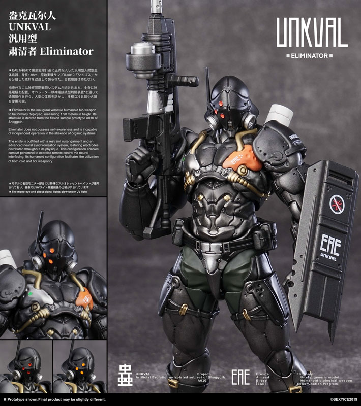 Project Identity: UNKVAL Eliminator Individual edition Ver