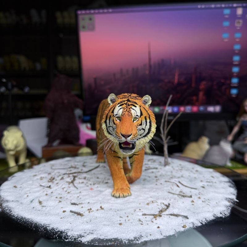 Siberian Tiger 2.0-10 Ratio