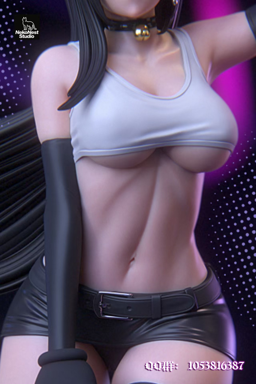 Cat Tifa 1/6