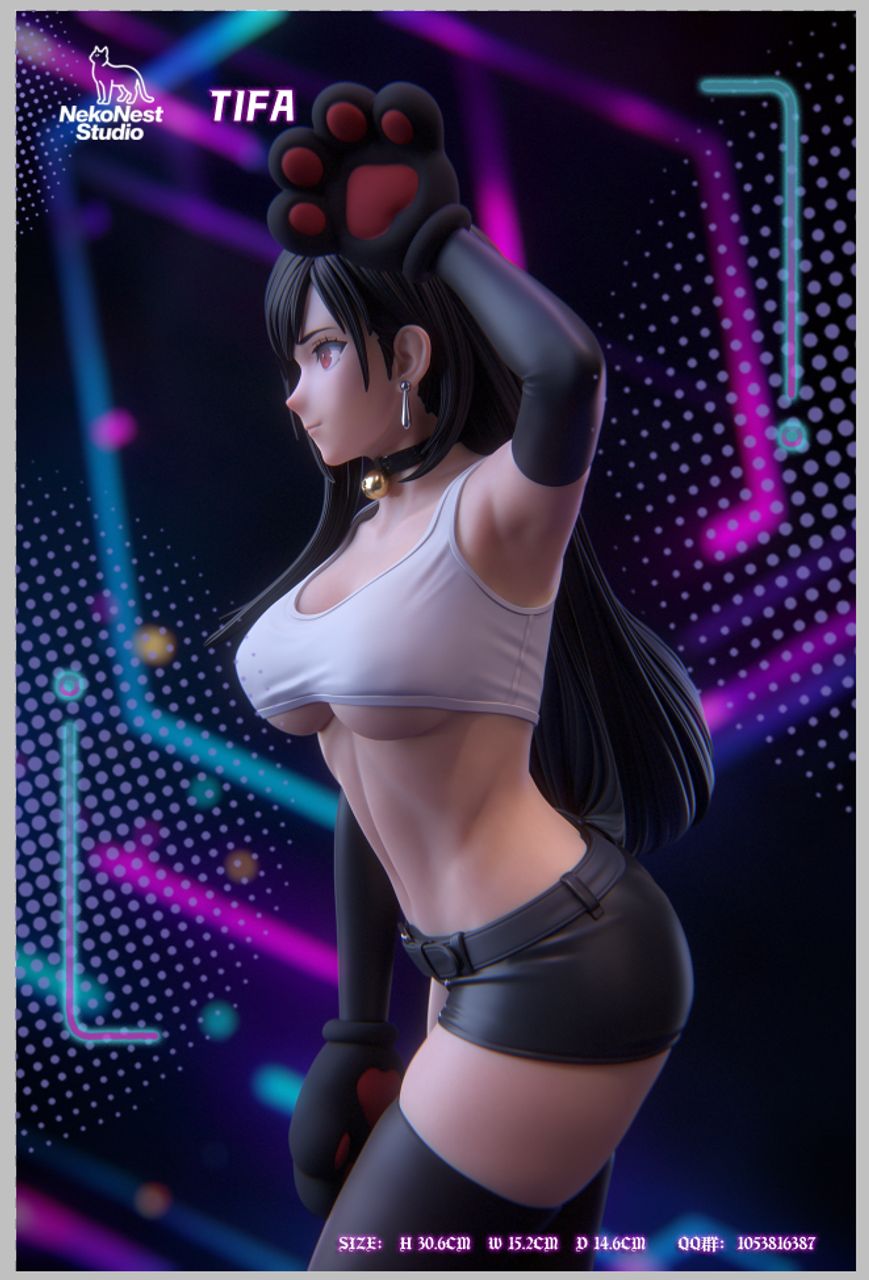 Cat Tifa 1/6
