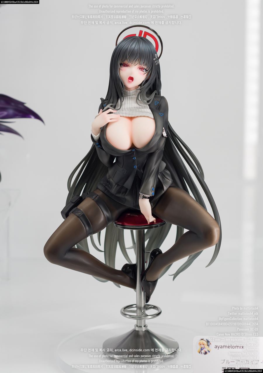 Tsukatsuki Rio - Blue Archive 1/6