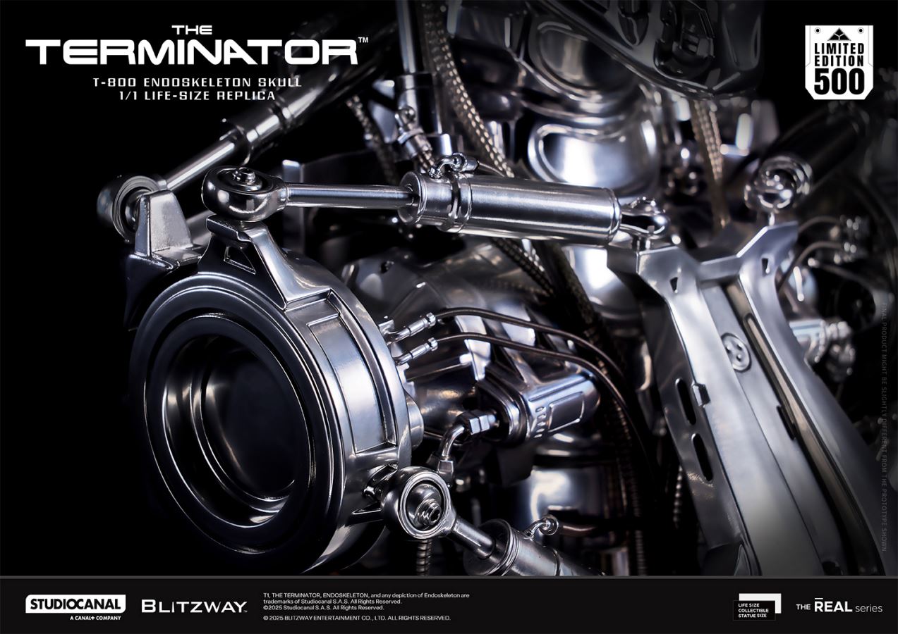 T-800 Endoskeleton Life-size Bust Replica 1/1