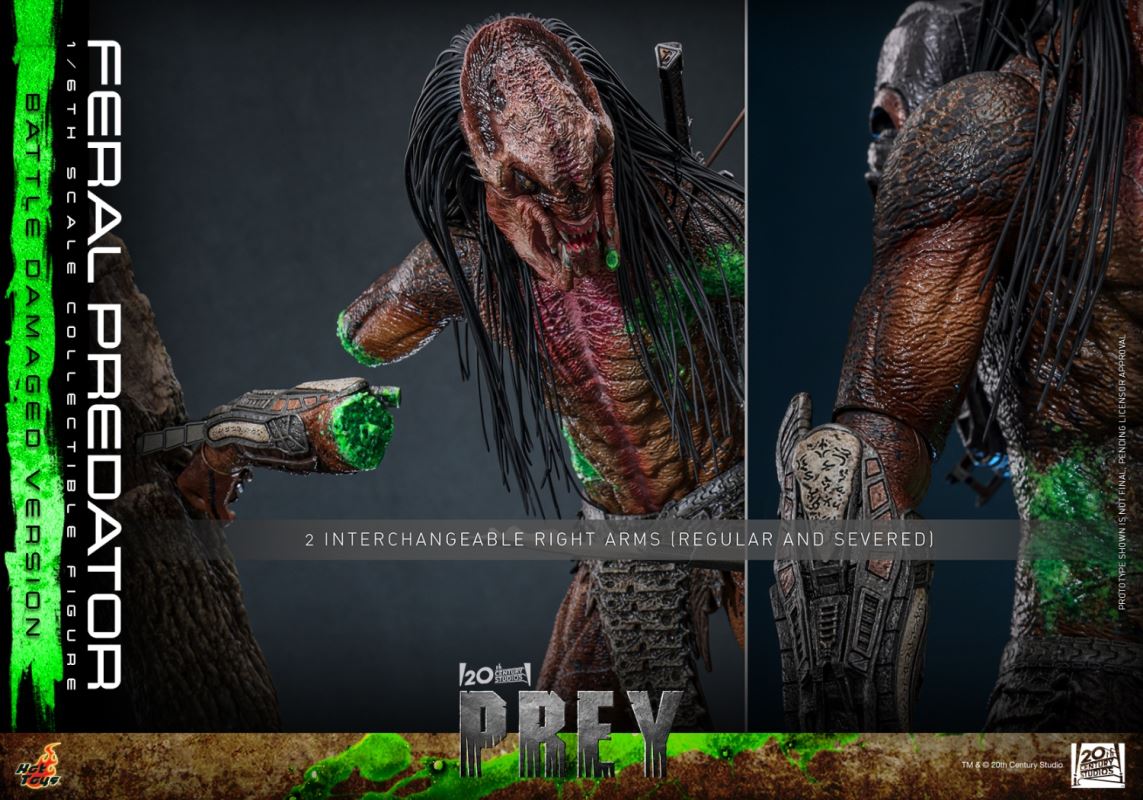 Feral Predator Battle Damaged Version