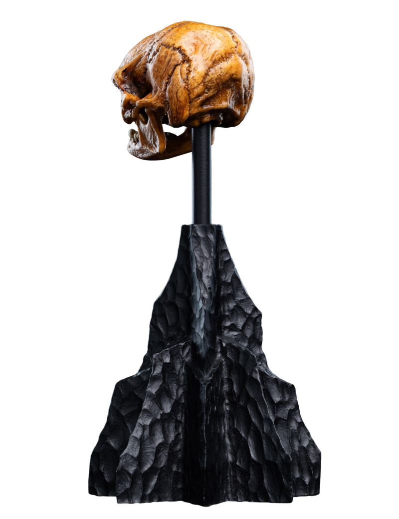 The Hobbit Skull of a Misty Mountain Goblin