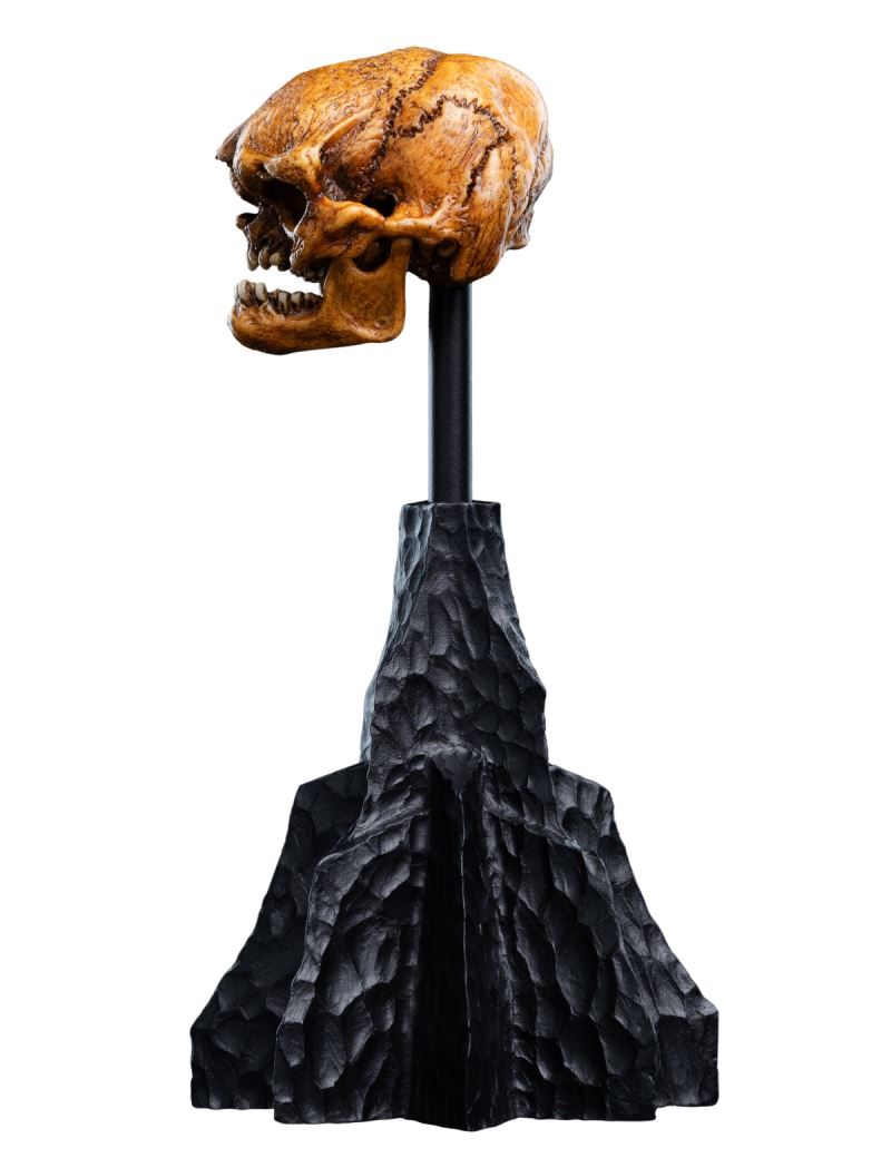 The Hobbit Skull of a Misty Mountain Goblin