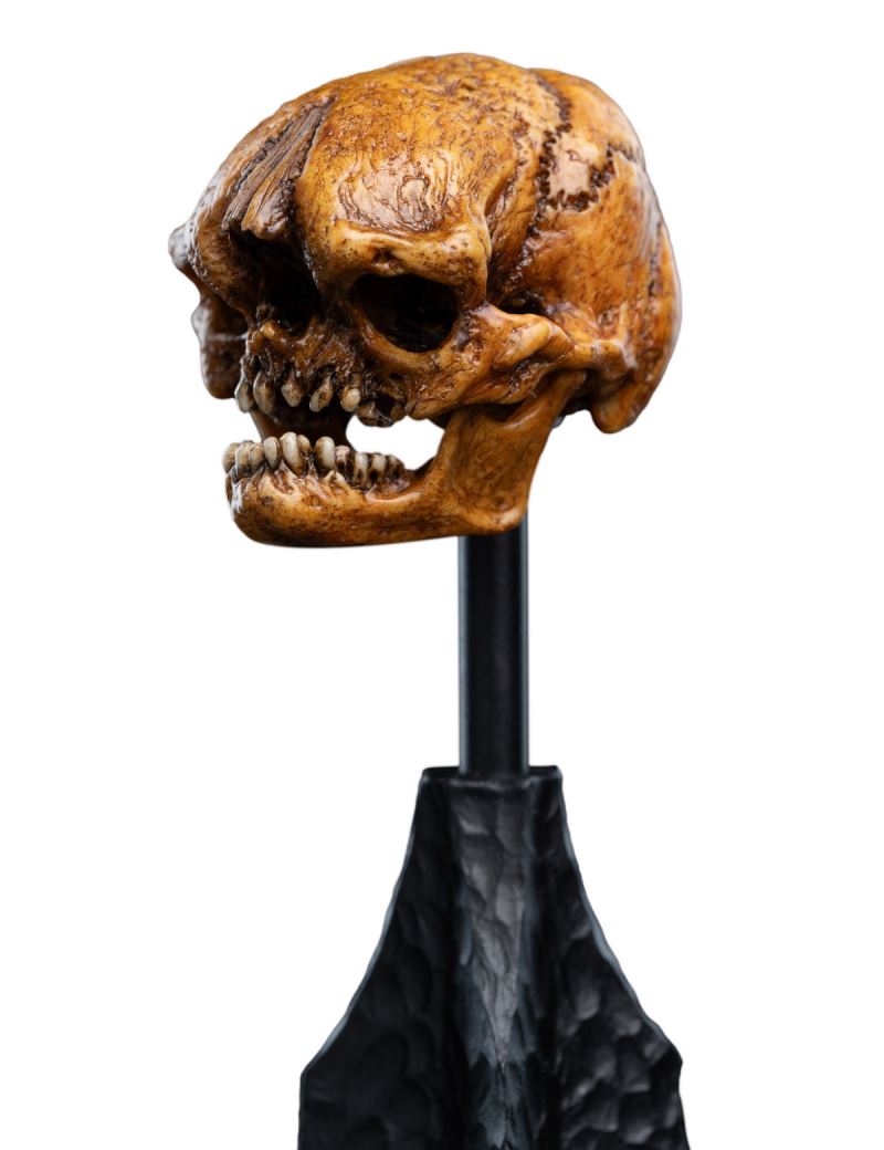 The Hobbit Skull of a Misty Mountain Goblin