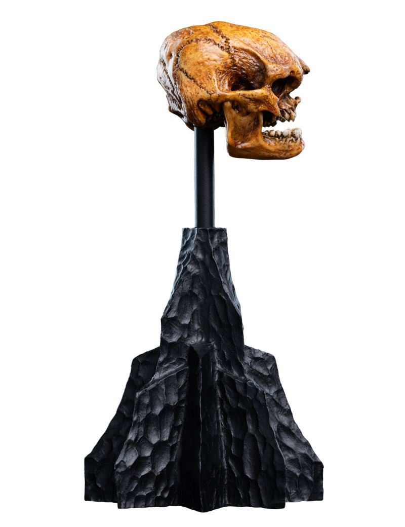 The Hobbit Skull of a Misty Mountain Goblin