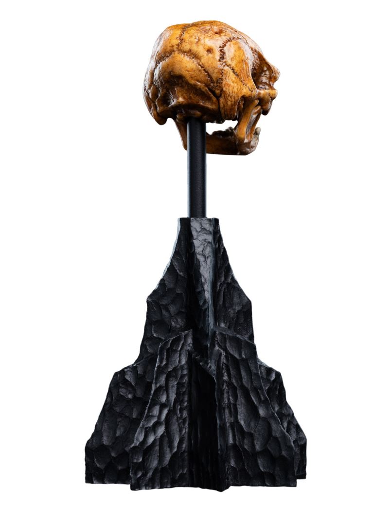 The Hobbit Skull of a Misty Mountain Goblin