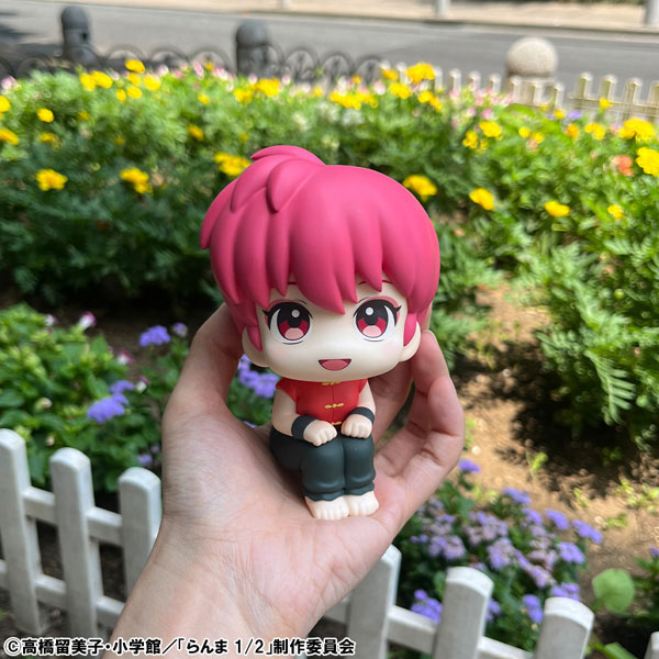 LookUp Ranma 1/2 - Ranma & Shampoo