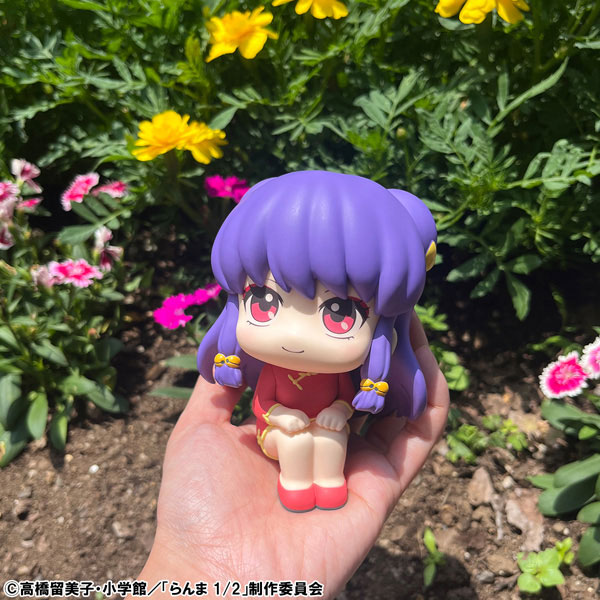 LookUp Ranma 1/2 - Ranma & Shampoo