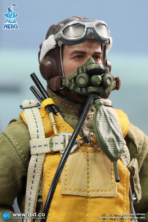 Captain Leif, a pilot of the U.S. Army Air Force in World War II 1/12