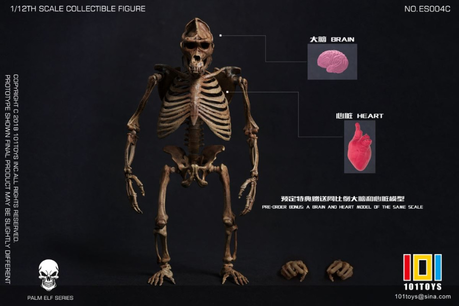 Pocket Elf Series - Sabre-toothed Tiger Skeleton Body 1/12