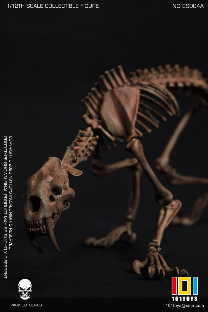 Pocket Elf Series - Sabre-toothed Tiger Skeleton Body 1/12