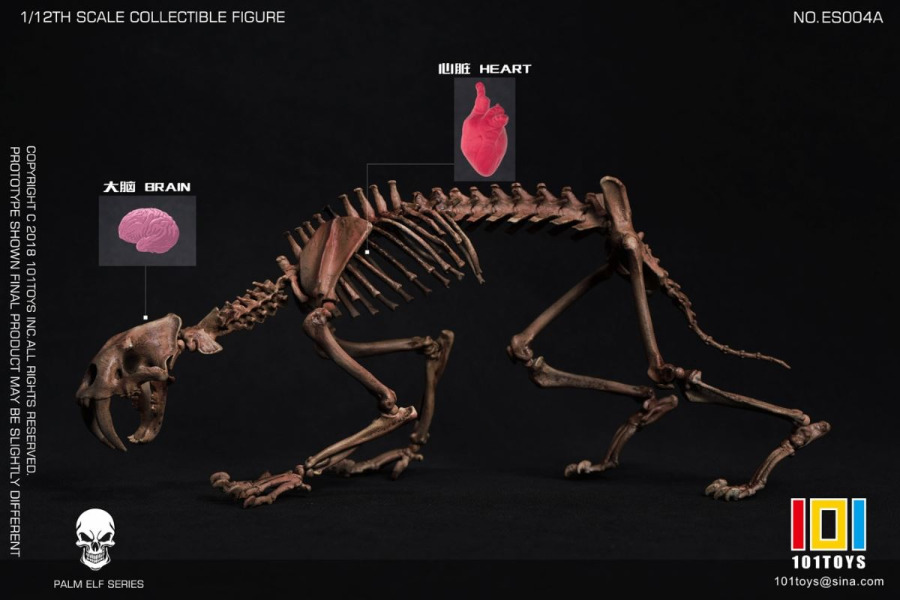 Pocket Elf Series - Sabre-toothed Tiger Skeleton Body 1/12