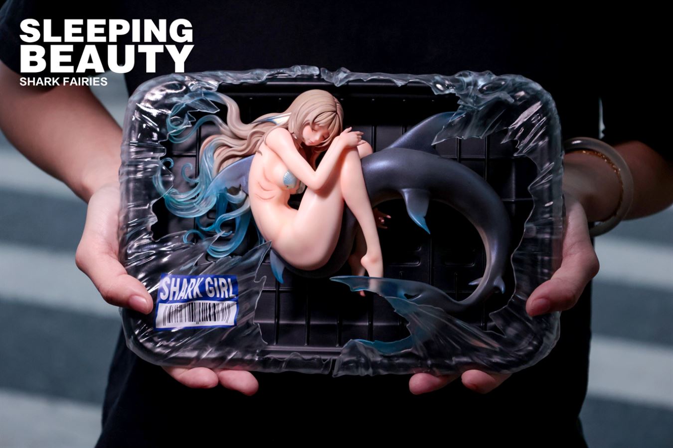 Sleep Beauty Shark Fairies