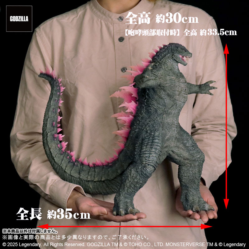 Toho Daikaiju Series GODZILLA (2024) EVOLVED Ver. FROM GODZILLA x KONG: THE NEW EMPIRE