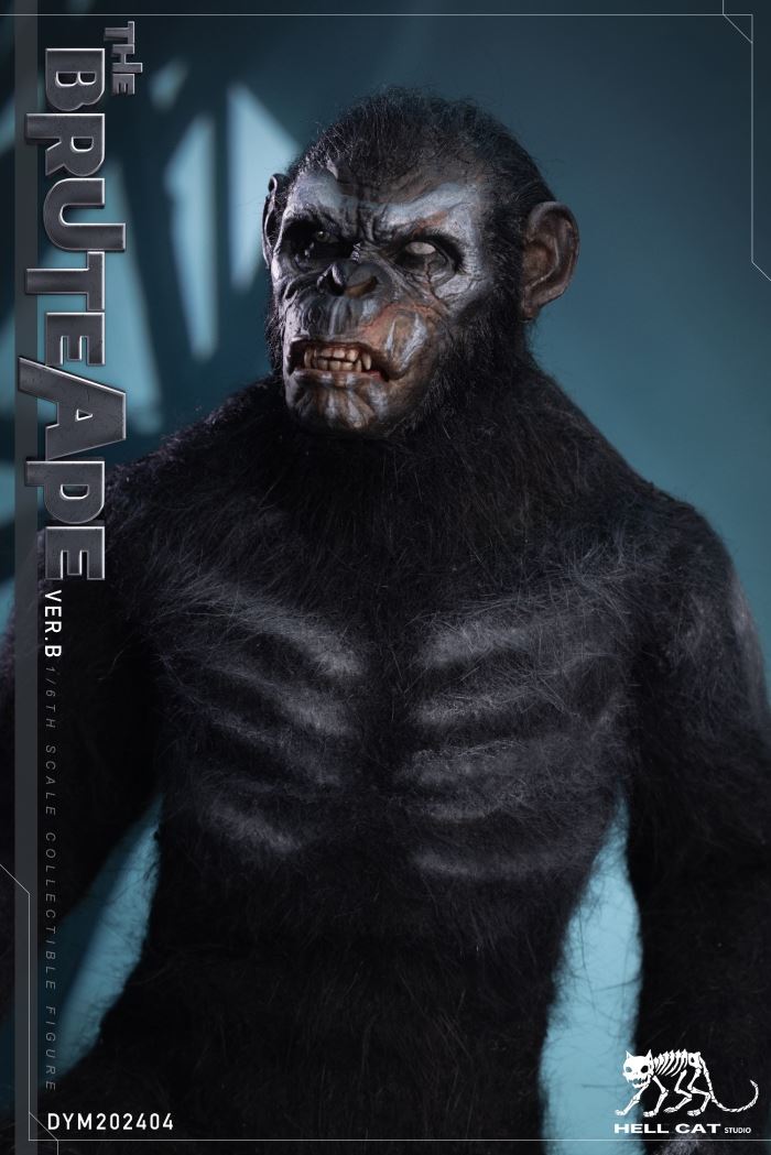 Ape Leader 1/6