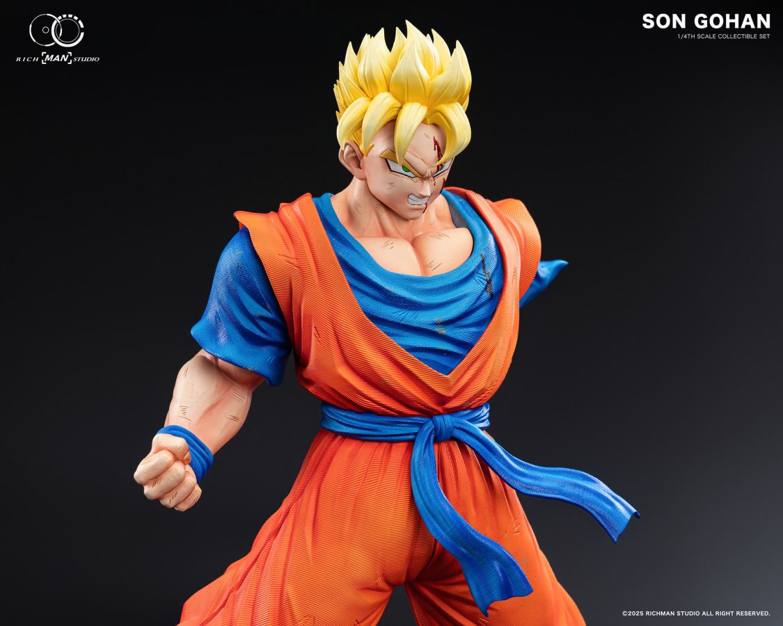 Future Gohan - Dragon Ball