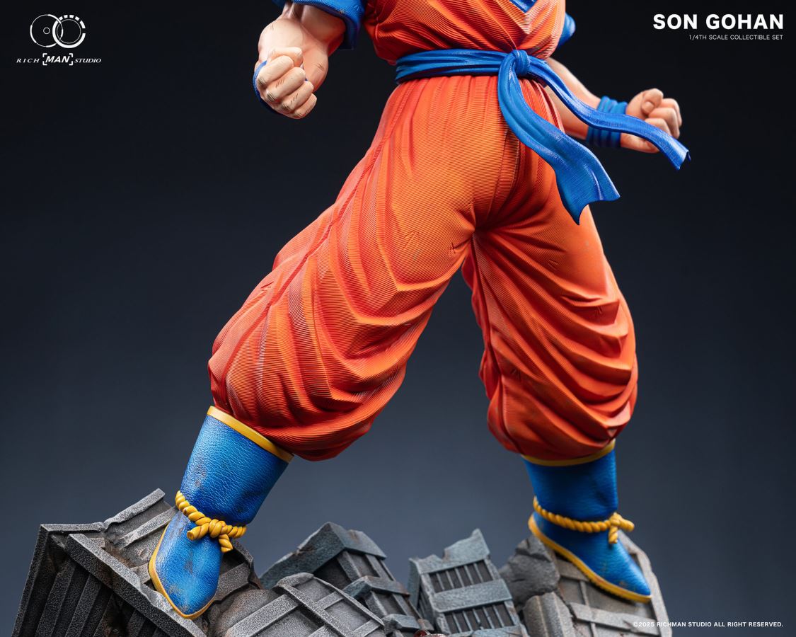 Future Gohan - Dragon Ball