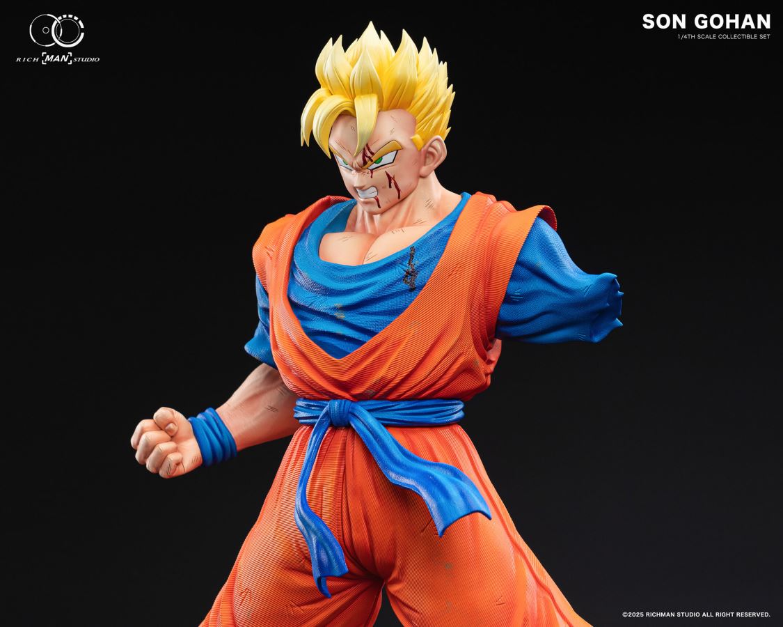 Future Gohan - Dragon Ball