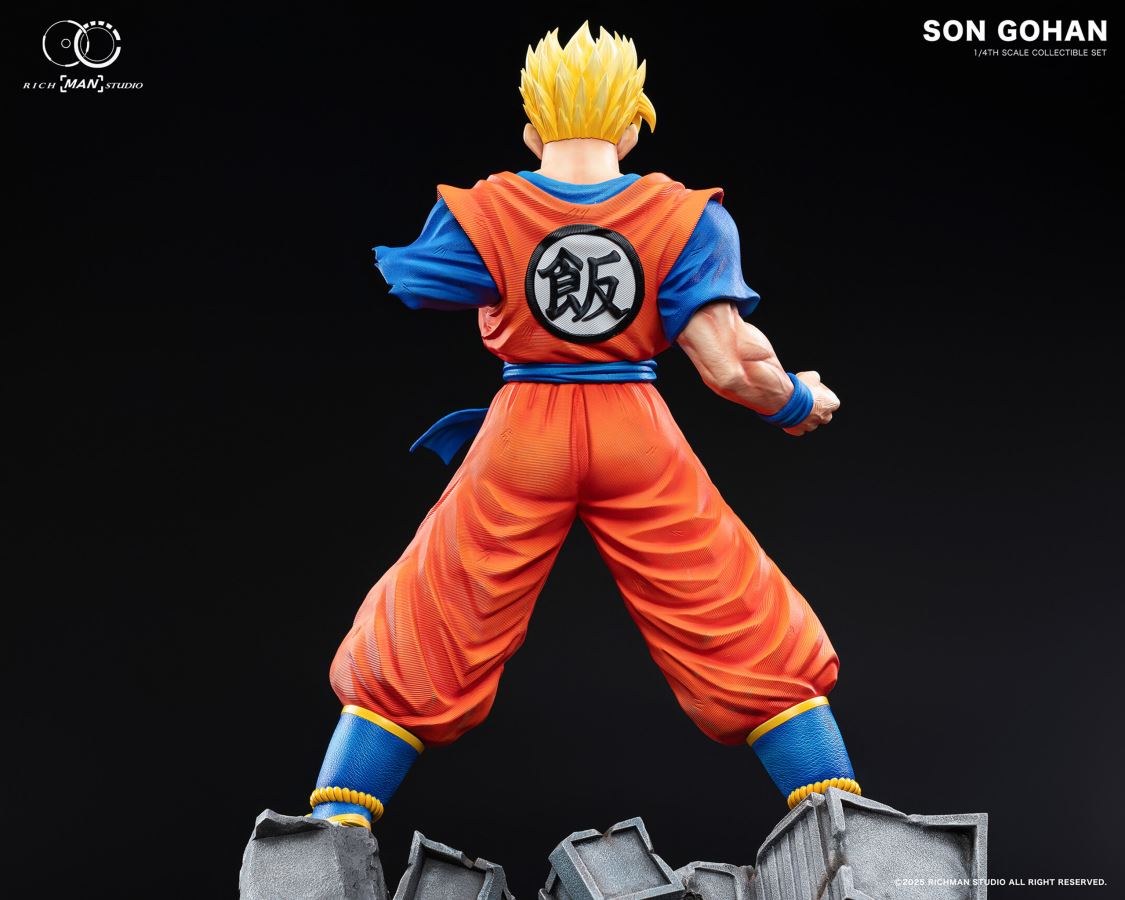 Future Gohan - Dragon Ball