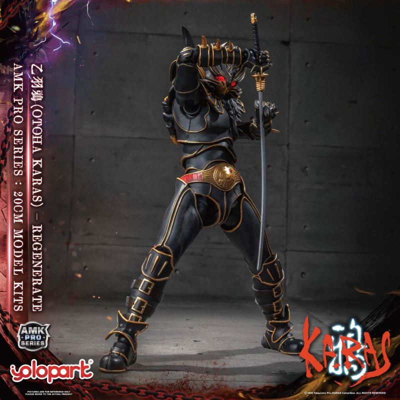 AMK PRO Series Otoha Karas – Regenerate
