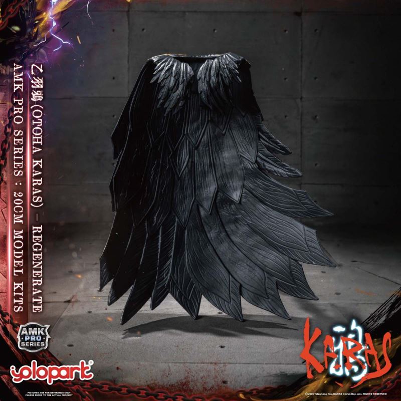 AMK PRO Series Otoha Karas – Regenerate