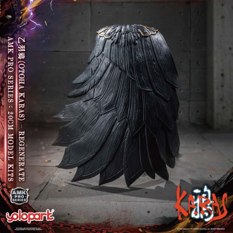 AMK PRO Series Otoha Karas – Regenerate