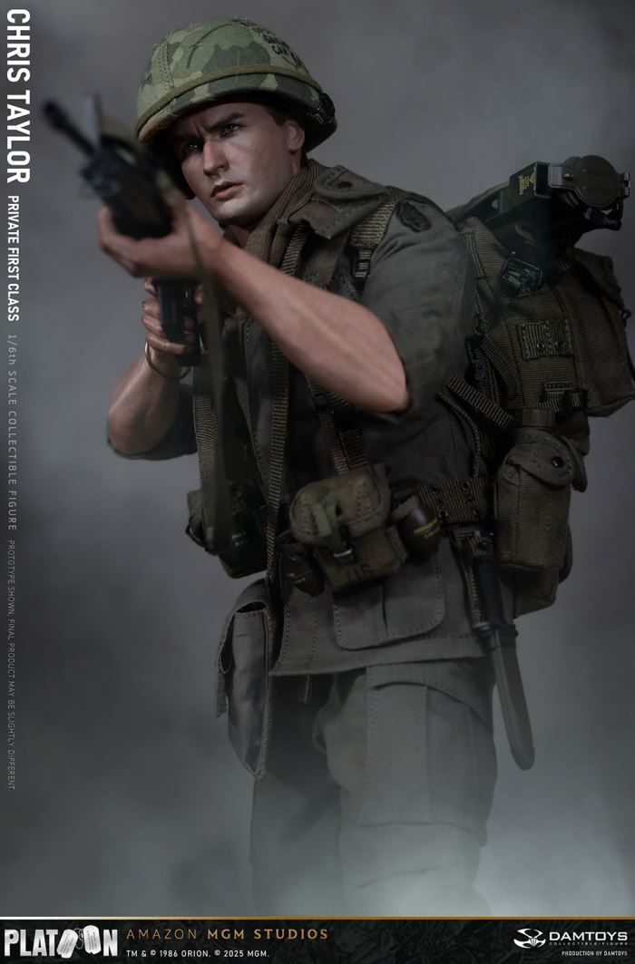 Platoon - Chris Taylor 1/6