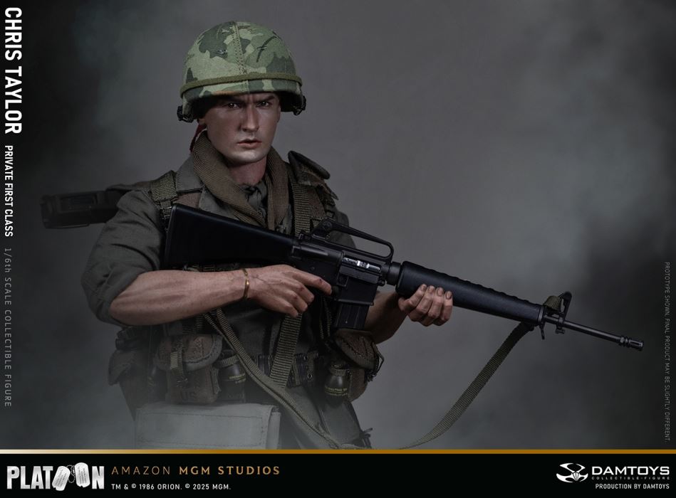 Platoon - Chris Taylor 1/6