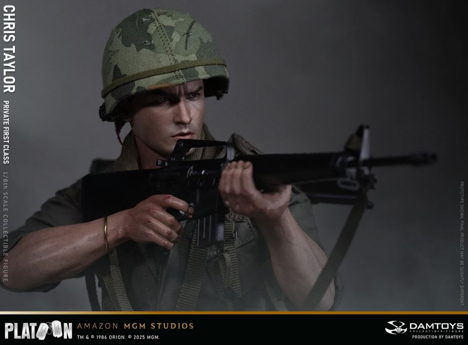 Platoon - Chris Taylor 1/6
