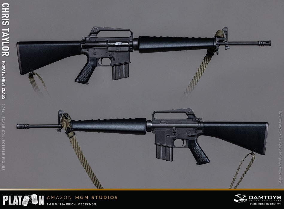 Platoon - Chris Taylor 1/6
