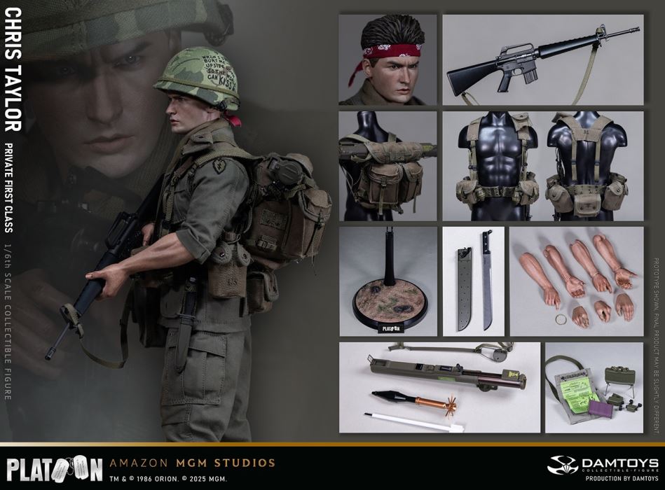 Platoon - Chris Taylor 1/6